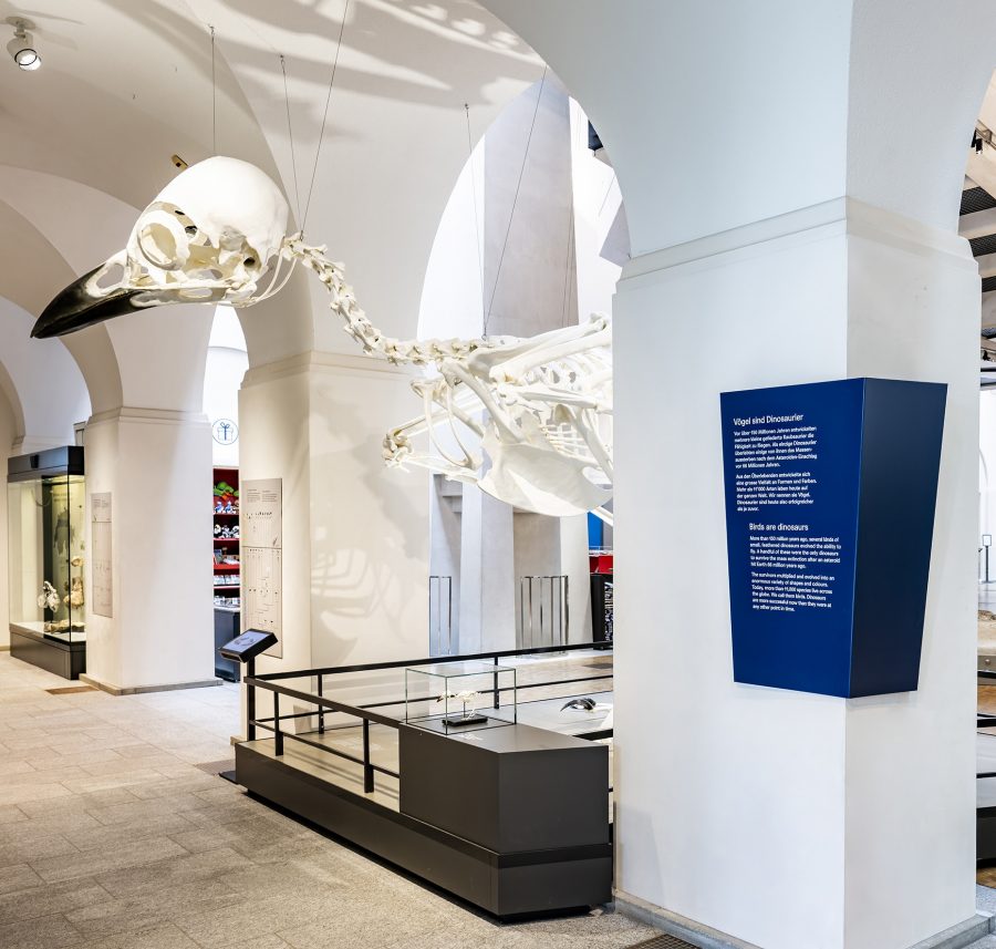 Bureau Vue: Natural History Museum of the University of Zurich